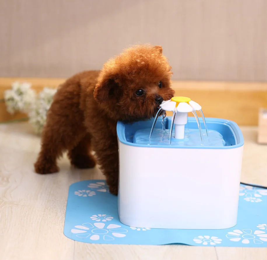 Automatic Pet Water Fountain for Cats and Dogs